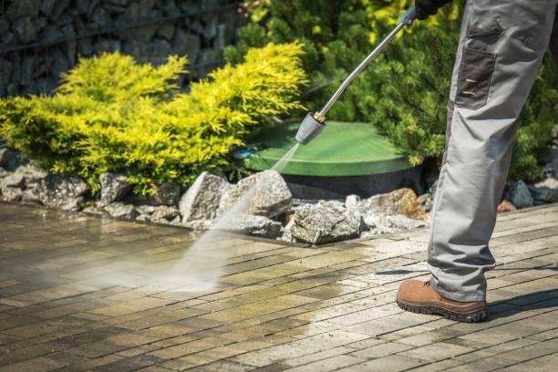 Best Soft Washing  in Walnut, CA