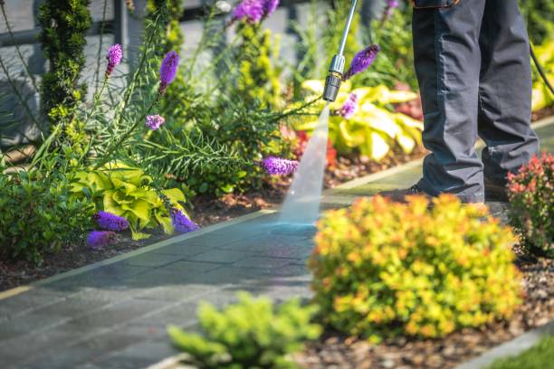 Best Patio and Deck Pressure Washing  in Walnut, CA